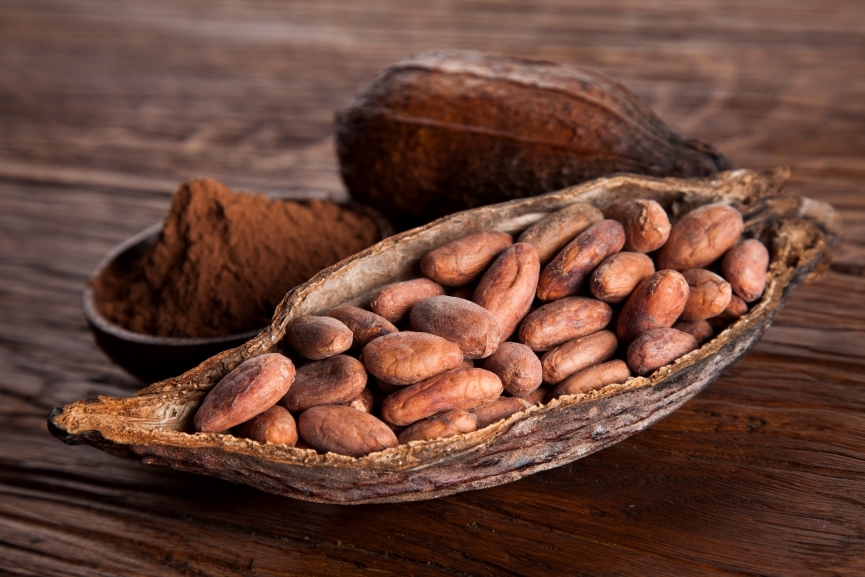 Success Story: Barry Callebaut