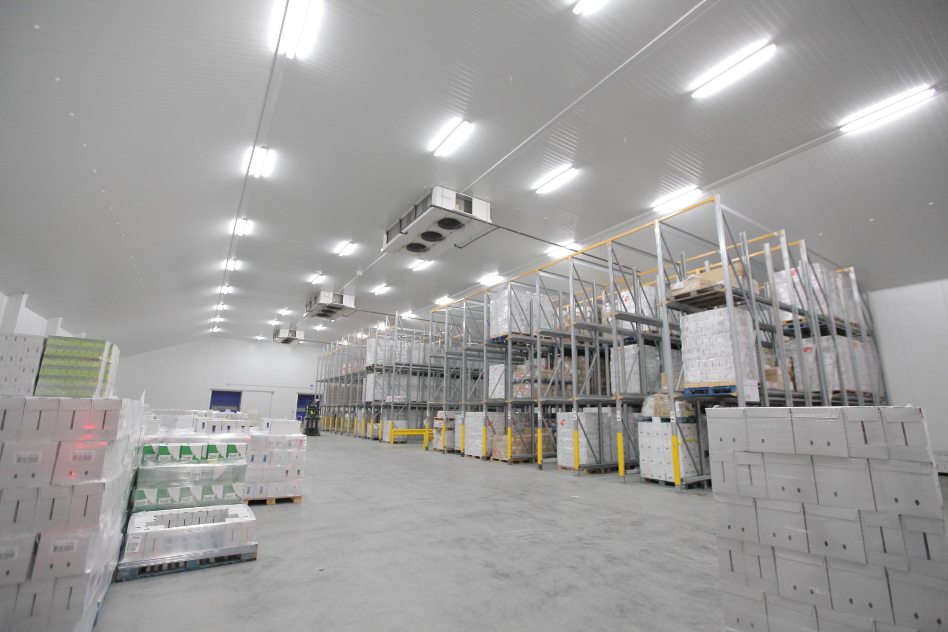 Think Global, Act Local: Achieving Reliability for Global Food Industry ...
