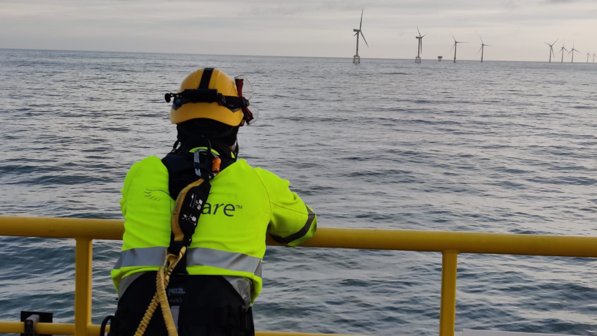 Predictive Maintenance in a Wind Farm
