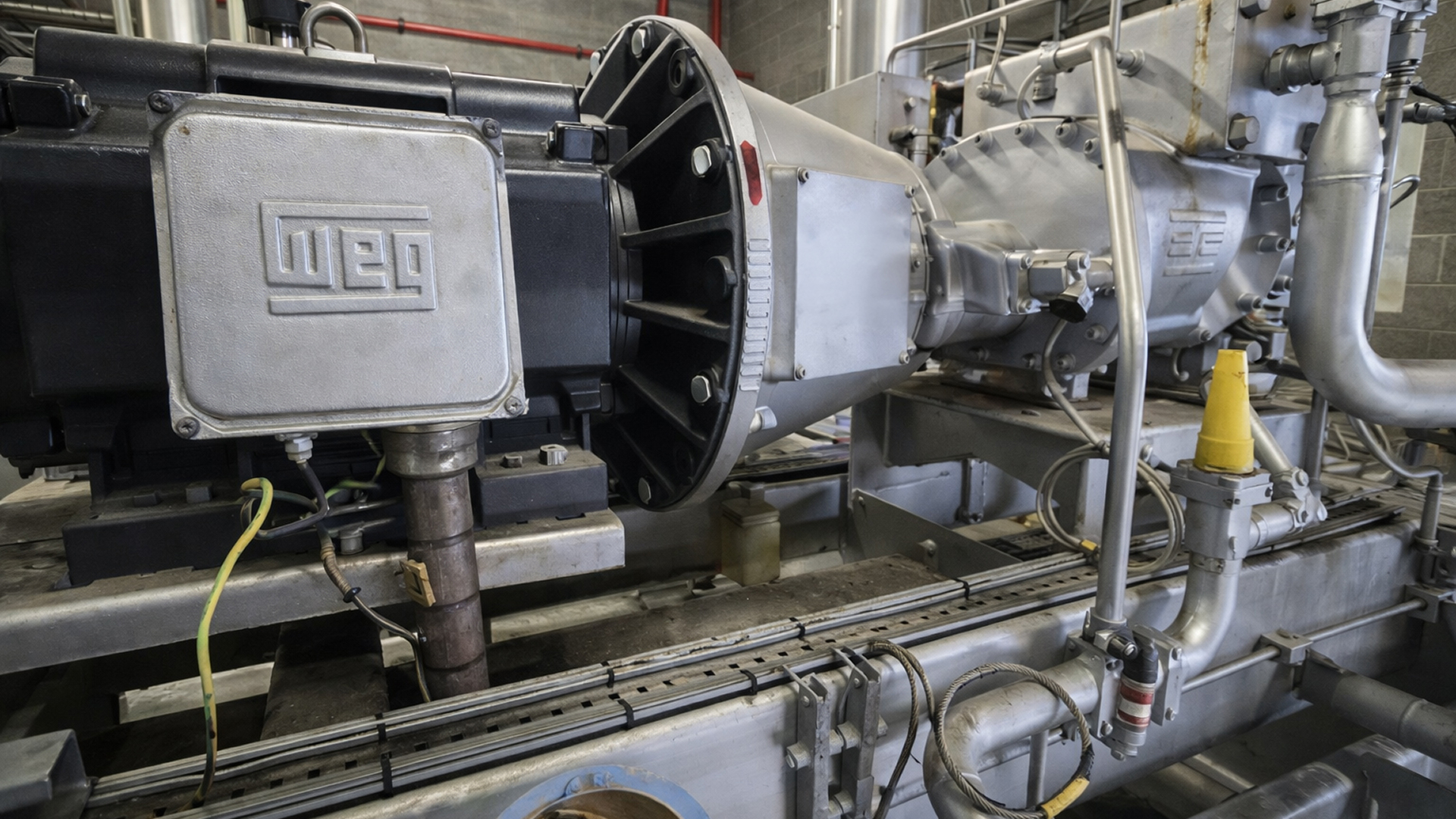 Screw compressor in a Food Plant