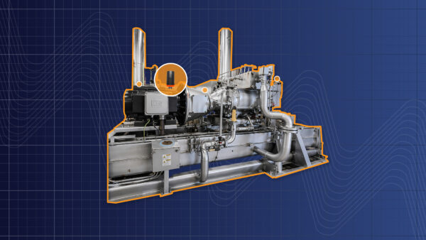 Early Detection of Electrical Fluting on a VFD-Driven Compressor Motor Using Vibration Analysis